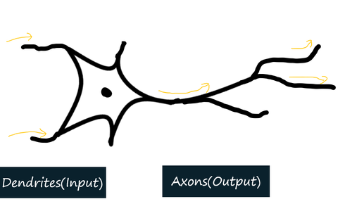 simple-neuron